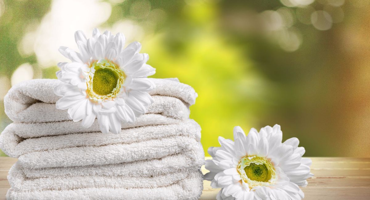 Commercial Towel Service